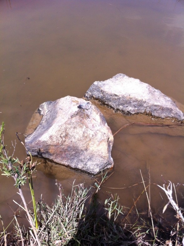 20130128-151635.jpg