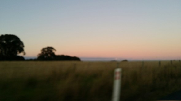 20150621_165152.jpg image