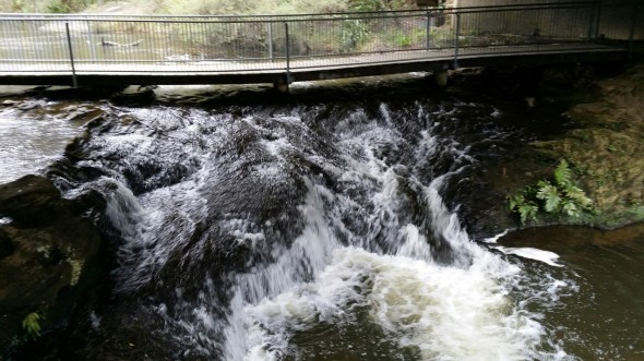 wp-1434943119146 image