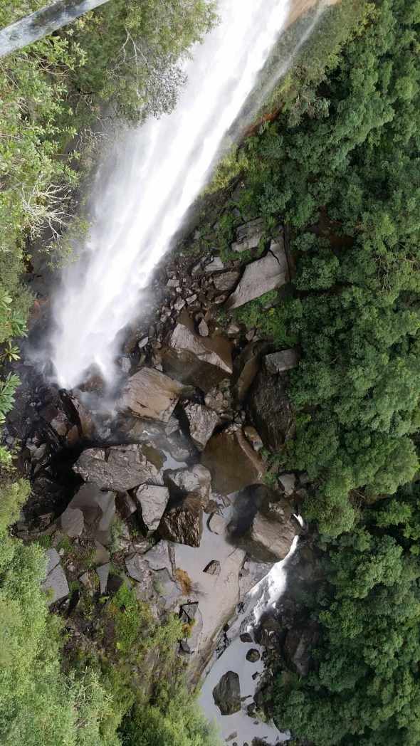 wp-1434943133668 image